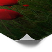 Leben und lass live poster (Ecke)