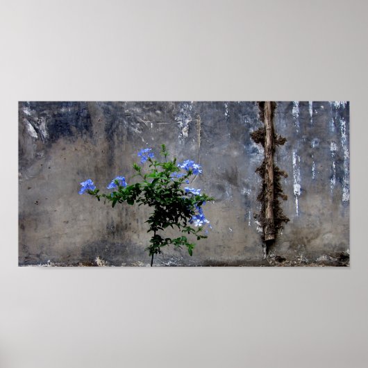 Leben und Tod Poster (Vorne)