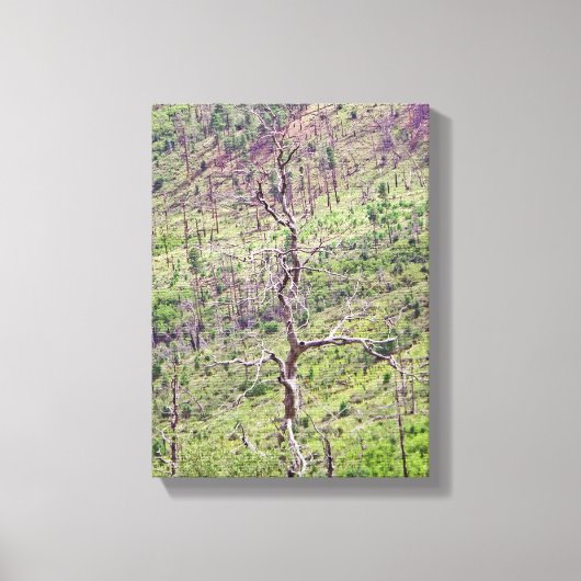 Leben- und Todesbäume im Tal Leinwanddruck (Vorderseite)