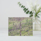 Leben- und Todesbäume im Tal Postkarte (Stehend Vorderseite)