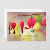 Leben und treten! CC0193 Liebe, Patricia Postkarte (Vorne/Hinten)