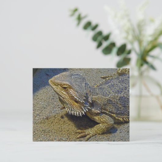 Leben unter Feuer - Barteter Drache Postkarte (Stehend Vorderseite)