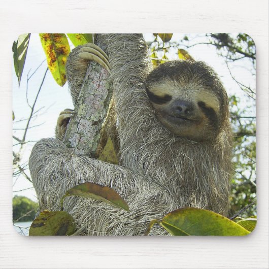 Leben wie ein Faultier Mousepad (Vorne)