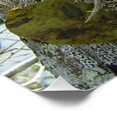 Leben wie ein Faultier Poster (Ecke)