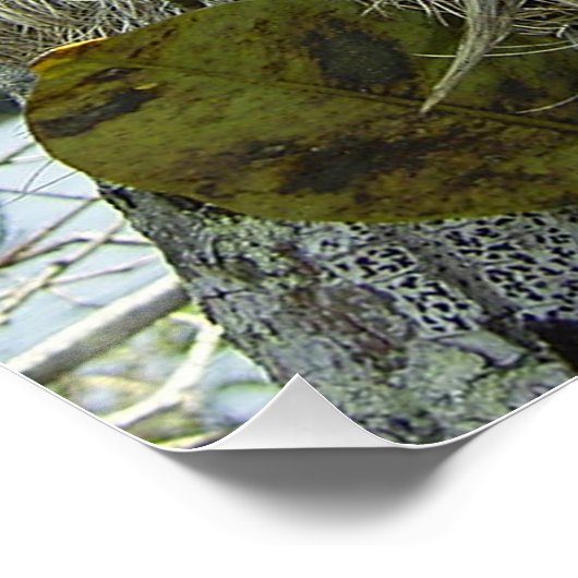 Leben wie ein Faultier Poster (Ecke)