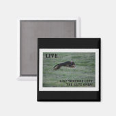 LEBEN WIE JEMAND, DER DAS GATE OPEN MAGNET VERLASS (Vorderseite/Rückseite)