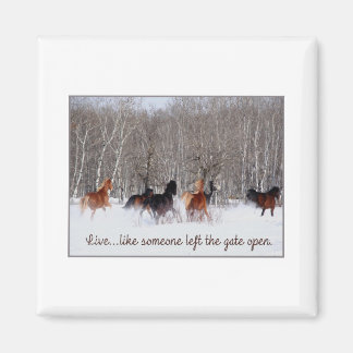 Leben.....Wie jemand verließ das Tor offen! Magnet