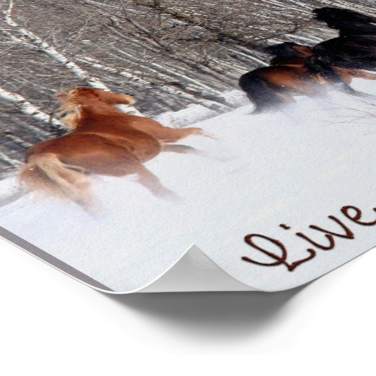 Leben.....Wie jemand verließ das Tor offen! Poster (Ecke)