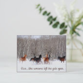 Leben.....Wie jemand verließ das Tor offen! Postkarte (Stehend Vorderseite)