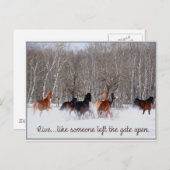 Leben.....Wie jemand verließ das Tor offen! Postkarte (Vorne/Hinten)