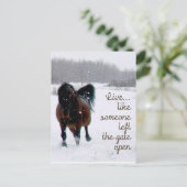 Leben.....Wie jemand verließ das Tor offen! Postkarte (Stehend Vorderseite)