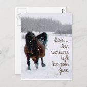 Leben.....Wie jemand verließ das Tor offen! Postkarte (Vorne/Hinten)