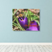 Lebend gezielt mit Honigbienen bestäubend Crocus Leinwanddruck (Insitu (Holzboden))
