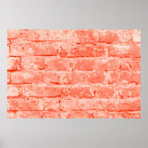 Lebende Koralle. Backsteinwand. Closeup horiz Poster