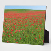 Lebende Poppies! Fotoplatte (Seite)