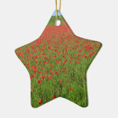 Lebende Poppies! Keramik Ornament (Links)