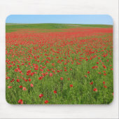 Lebende Poppies! Mousepad (Vorne)