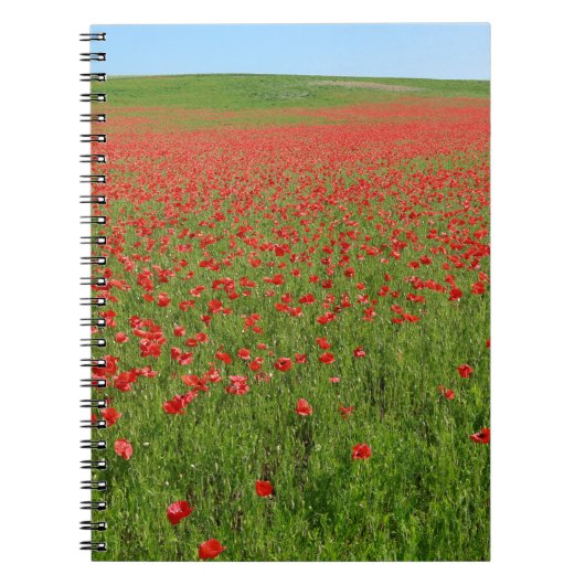 Lebende Poppies! Notizblock (Vorderseite)