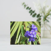 Lebende Spiderwort-Blume Postkarte (Stehend Vorderseite)