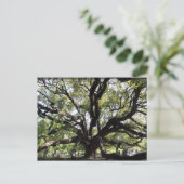 Lebendeiche Postkarte (Stehend Vorderseite)