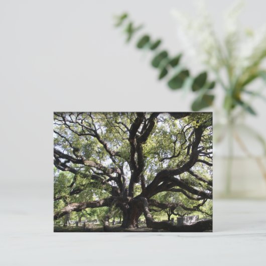 Lebendeiche Postkarte (Stehend Vorderseite)