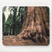 Lebender Berg Mousepad (Vorne)