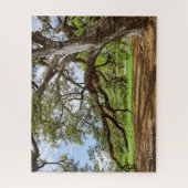 Lebender Eichenbaum von Louisiana, Puzzle (Vertikal)
