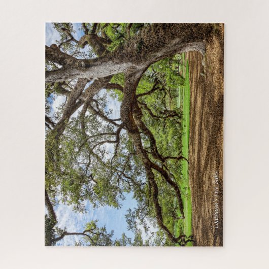 Lebender Eichenbaum von Louisiana, Puzzle (Vertikal)