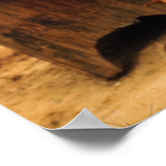 Lebender Fisch zum Verkauf Poster (Ecke)