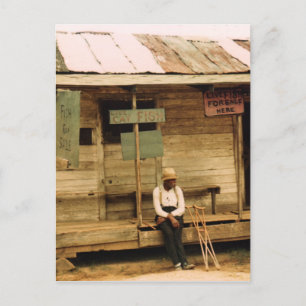 Lebender Fisch zum Verkauf Postkarte