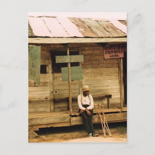 Lebender Fisch zum Verkauf Postkarte (Vorderseite)