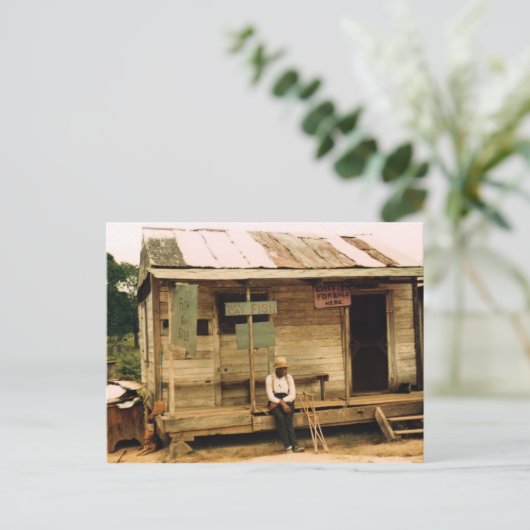 Lebender Fisch zum Verkauf Postkarte (Stehend Vorderseite)