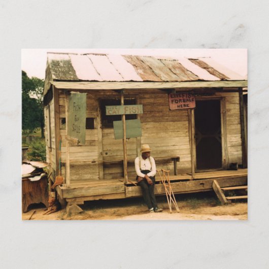 Lebender Fisch zum Verkauf Postkarte (Vorderseite)