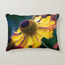 Lebendes Gelbes Helenium mit Lila Zentrum