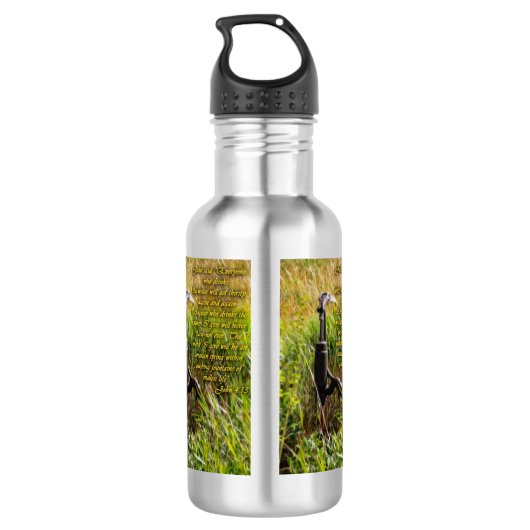 Lebendes Wasser John 4 Inspiration Edelstahlflasche (Rückseite)