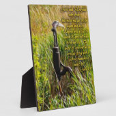 Lebendes Wasser John 4 Inspiration Fotoplatte (Seite)