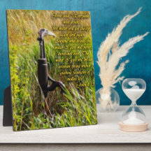 Lebendes Wasser John 4 Inspiration