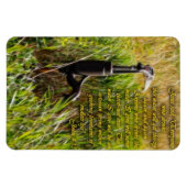 Lebendes Wasser John 4 Inspiration Magnet (Horizontal)