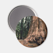 Lebendgebirge Magnet (Vorderseite/Rückseite)