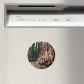 Lebendgebirge Magnet (In Situ (Geschirrspüler))