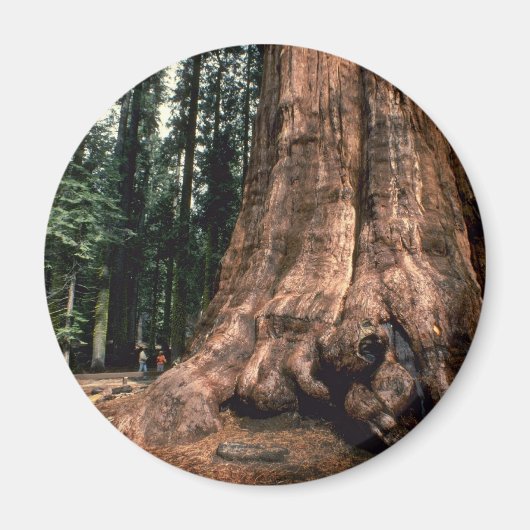 Lebendgebirge Magnet (Vorne)