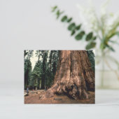 Lebendgebirge Postkarte (Stehend Vorderseite)