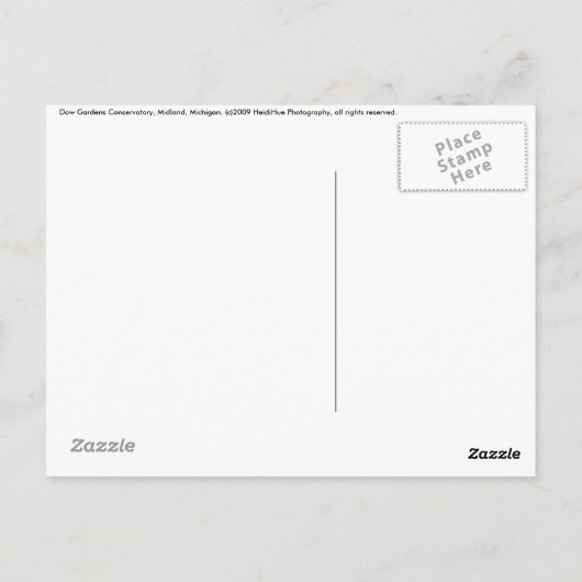 Lebendig Postkarte (Rückseite)