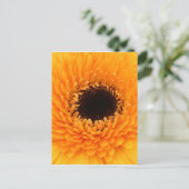 lebendig postkarte (Stehend Vorderseite)