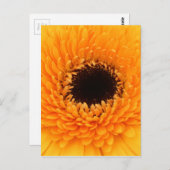 lebendig postkarte (Vorne/Hinten)