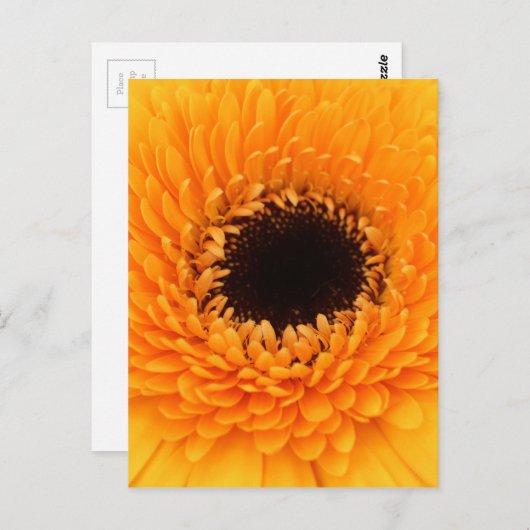 lebendig postkarte (Vorne/Hinten)