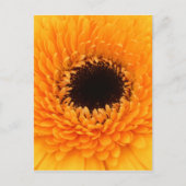 lebendig postkarte (Vorderseite)