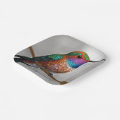 Lebendige Allen-Kolibri-Malerei Pappteller (Gewinkelt)
