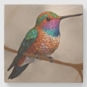 Lebendige Allen-Kolibri-Malerei Steinuntersetzer (Vorderseite)