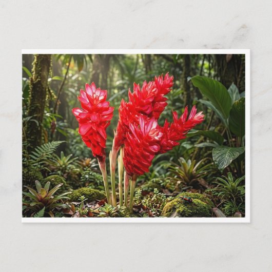 Lebendige botanische Ingwerblüten-Kaffeetasse Postkarte (Vorderseite)